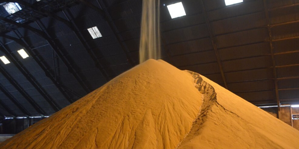 The Sugar Series: Refined Sugar Production